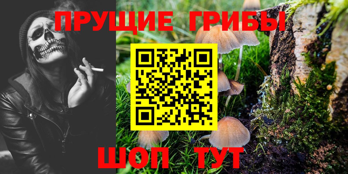 Кувандык  Галлюциногенные грибы мухоморы  Вход с VPN 