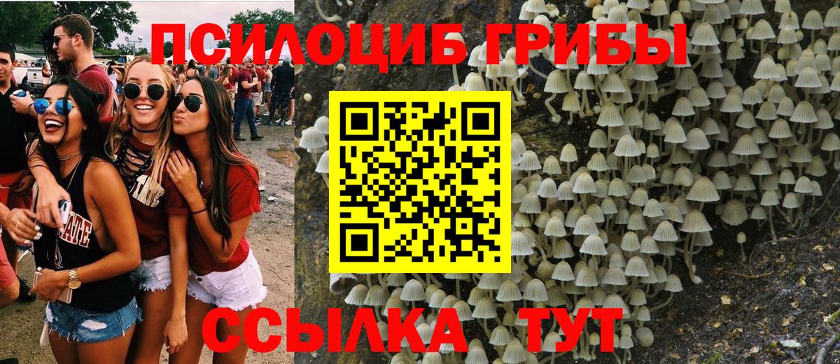 Галлюциногенные грибы Psilocybine cubensis Кувандык